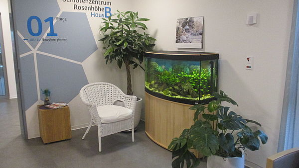 Ein großes Aquarium im Haus B